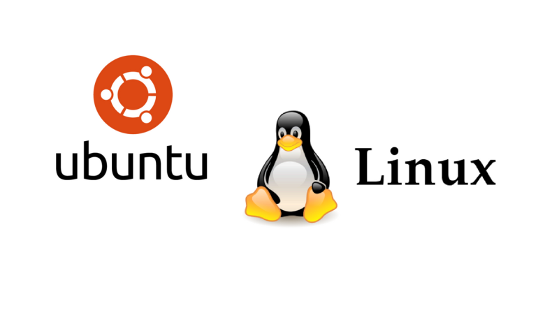 新手必看Linux（Centos，Ubuntu，Debian）安装新系统挂载硬盘最简单的一键挂载！-007PHP源碼網