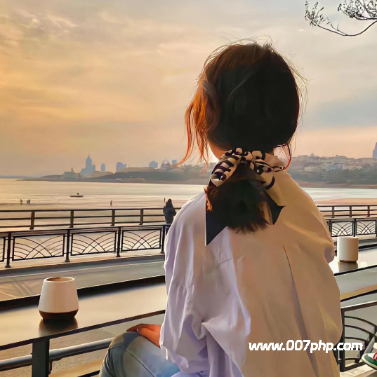 鞠姐的头像-007PHP源碼網